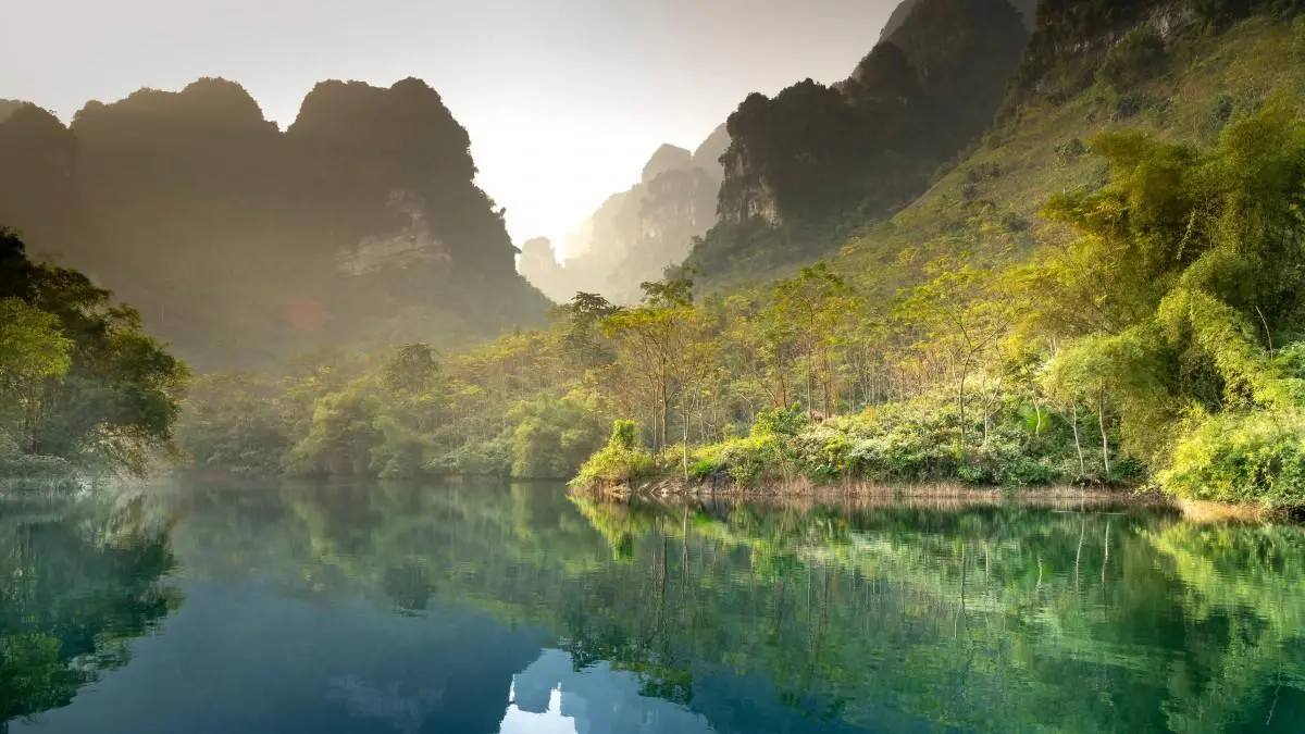 高效自动化可靠性